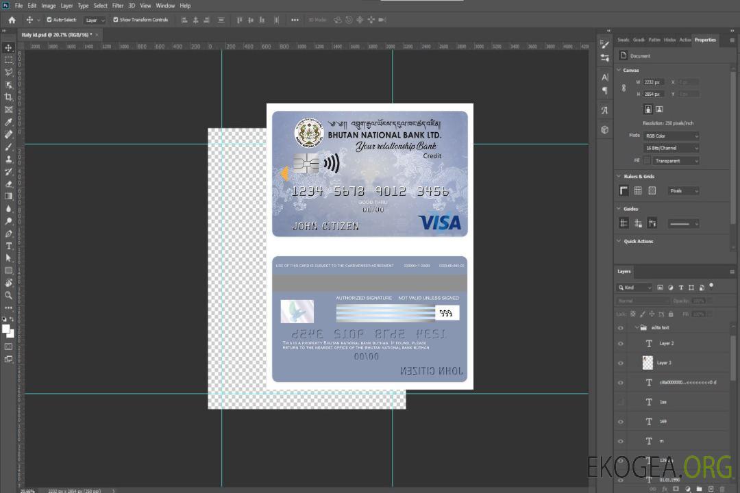 Carte de crédit visa de la banque nationale du Bhoutan LTD template Carte de crédit visa de la banque nationale du Bhoutan LTD template